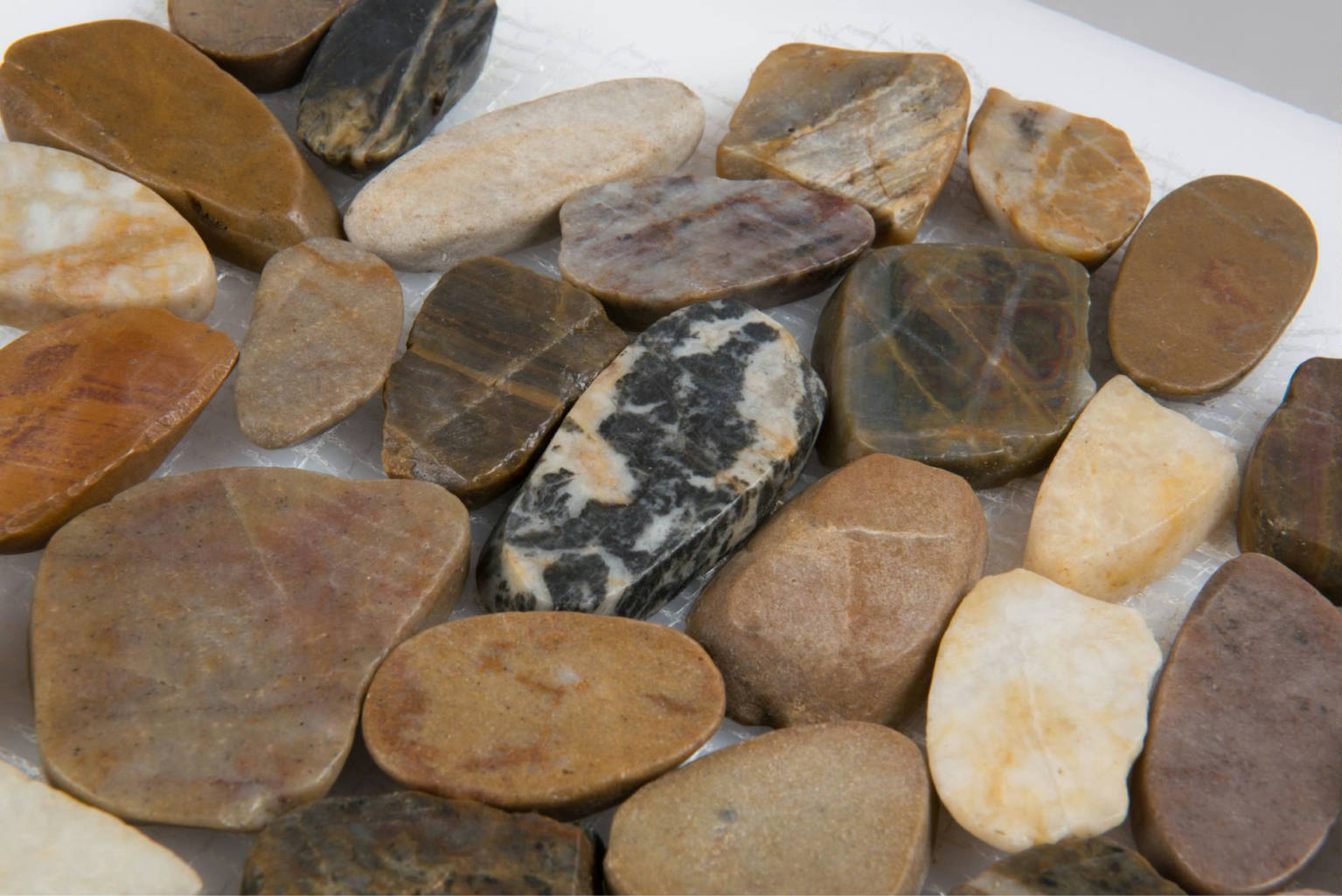 12X12 Flat Bora Wilderness | Gramercy Kitchen and Bath