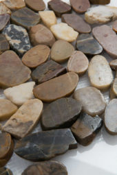 12X12 Flat Bora Wilderness | Gramercy Kitchen and Bath