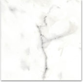 12X12F Calacatta | Gramercy Kitchen and Bath