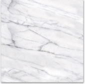 18X18F Carrara | Gramercy Kitchen and Bath