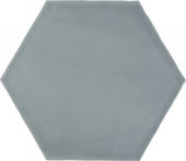 6" Argent Sterling Glossy Hexagon | Gramercy Kitchen and Bath