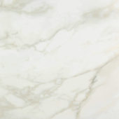 Amalfi Calacatta Honed 24X24 | Gramercy Kitchen and Bath