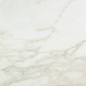 Amalfi Calacatta Honed 24X24 | Gramercy Kitchen and Bath