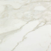 Amalfi Calacatta Honed 32X32 | Gramercy Kitchen and Bath