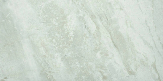 Amur 12X24 | Gramercy Kitchen and Bath