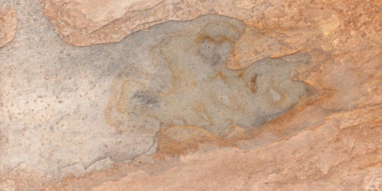 Annapurna Beige 12X24 | Gramercy Kitchen and Bath