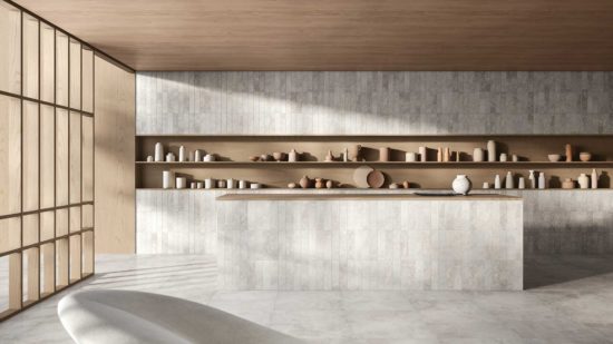 Apollo Argento 12x24 | Gramercy Kitchen and Bath