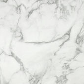 Arabescato Verona Honed 24X24 | Gramercy Kitchen and Bath
