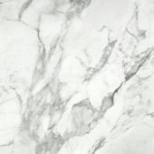 Arabescato Verona Honed 24X24 | Gramercy Kitchen and Bath