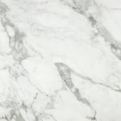 Arabescato Verona Honed 24X24 | Gramercy Kitchen and Bath