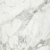 Arabescato Verona Honed 32X32 | Gramercy Kitchen and Bath
