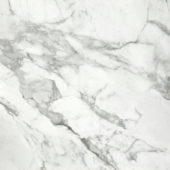 Arabescato Verona Honed 32X32 | Gramercy Kitchen and Bath
