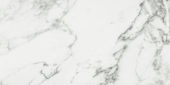 Arabescato Verona Polished 12X24 | Gramercy Kitchen and Bath