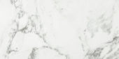 Arabescato Verona Polished 12X24 | Gramercy Kitchen and Bath