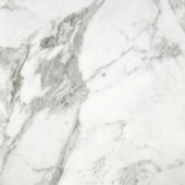 Arabescato Verona Polished 24X24 | Gramercy Kitchen and Bath
