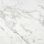 Arabescato Verona Polished 24X24 | Gramercy Kitchen and Bath