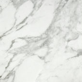 Arabescato Verona Polished 24X24 | Gramercy Kitchen and Bath