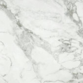 Arabescato Verona Polished 24X24 | Gramercy Kitchen and Bath