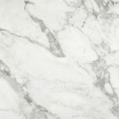 Arabescato Verona Polished 32X32 | Gramercy Kitchen and Bath