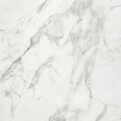 Arabescato Verona Polished 32X32 | Gramercy Kitchen and Bath