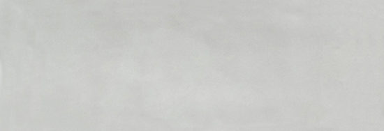 Aruba Silver Gloss 2x6 | Gramercy Kitchen and Bath