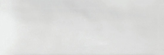 Aruba White Gloss 2x6 | Gramercy Kitchen and Bath