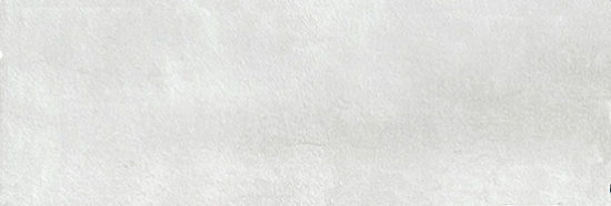 Aruba White Matt 2x6 | Gramercy Kitchen and Bath