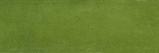 Barcelona 2x6" Olive | Gramercy Kitchen and Bath