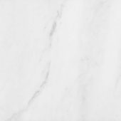 Bianco Venatino 12x12 Honed | Gramercy Kitchen and Bath