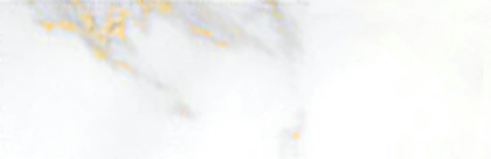 Calacatta 3x9" Calacatta | Gramercy Kitchen and Bath