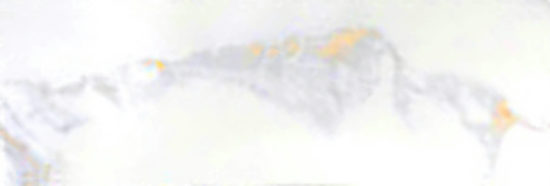 Calacatta 3x9" Calacatta | Gramercy Kitchen and Bath