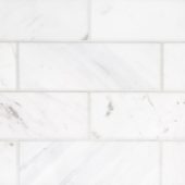 Camellia Field Tile 3” x 9” | Gramercy Kitchen and Bath