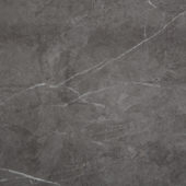 Carpantian Gloss Wall Panel 48x120 | Gramercy Kitchen and Bath