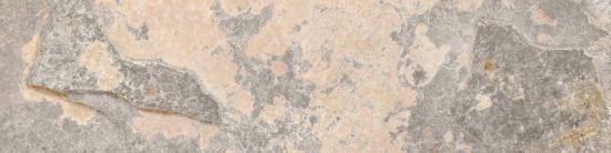 Chitwan Gris 3X12 Bullnose | Gramercy Kitchen and Bath