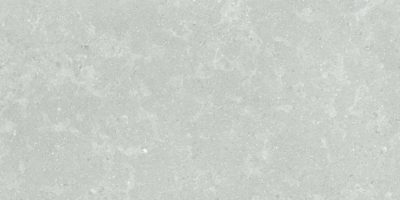 Denver 12X24F Platinum Matte