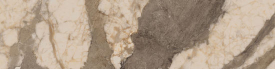 Dynasty Taupe 3X12 Bullnose | Gramercy Kitchen and Bath