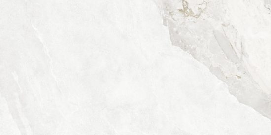 Dynasty White 12X24 | Gramercy Kitchen and Bath