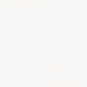 Floodplain Field Tile Ivory | Gramercy Kitchen and Bath