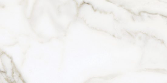 Florence 12X24F Calacatta Matte | Gramercy Kitchen and Bath