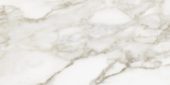 Florence 12X24F Calacatta Matte | Gramercy Kitchen and Bath