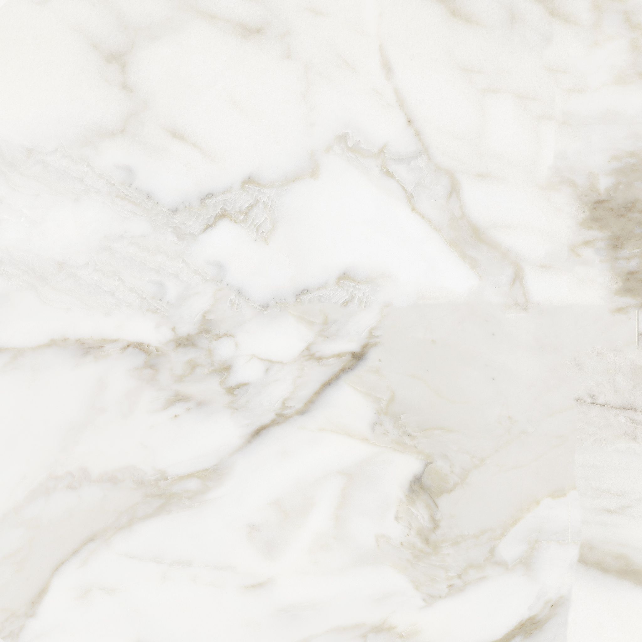 Florence 13X13F Calacatta Matte