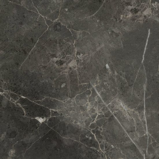 Florence 20X20F Carbon Matte | Gramercy Kitchen and Bath