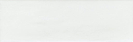 Lisbon 2x6" White | Gramercy Kitchen and Bath