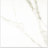 Matte Adoration 24X24 | Gramercy Kitchen and Bath