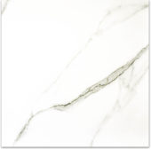 Matte Adoration 24X24 | Gramercy Kitchen and Bath