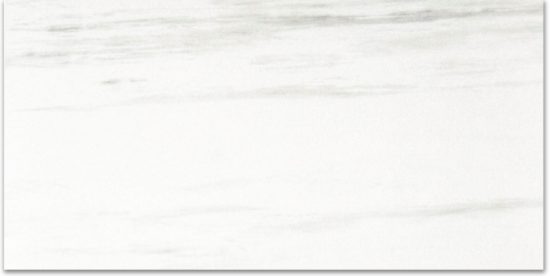 Matte Devotion 12X24 | Gramercy Kitchen and Bath