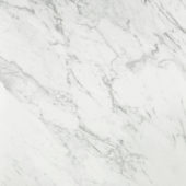 Milano Statuario Honed 24X24 | Gramercy Kitchen and Bath
