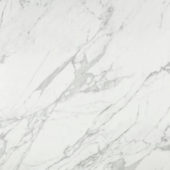 Milano Statuario Honed 24X24 | Gramercy Kitchen and Bath