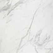 Milano Statuario Honed 32X32 | Gramercy Kitchen and Bath