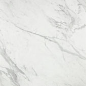Milano Statuario Polished 24X24 | Gramercy Kitchen and Bath